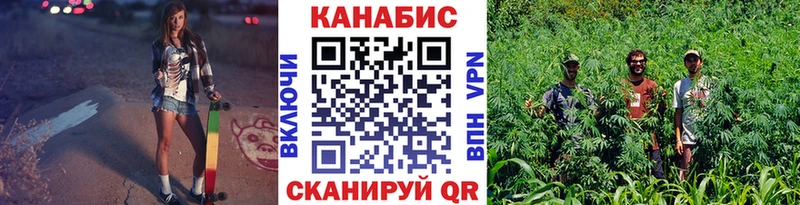 Как найти наркотики Удачный Альфа ПВП  Псилоцибиновые грибы  OMG маркетплейс  ГАШ  КОКАИН  Меф 