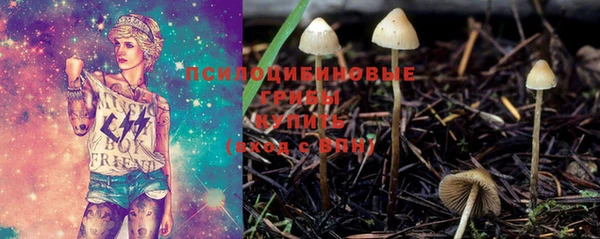 амф Армянск
