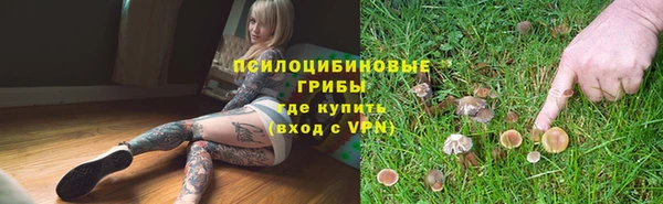 каннабис Арсеньев