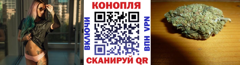 Каннабис планчик  Удачный 